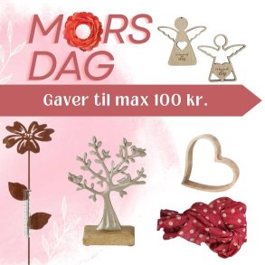 Mors dag gave til max 100,- kr. 