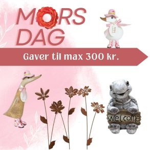 Mors dag gave til max 300,- kr.
