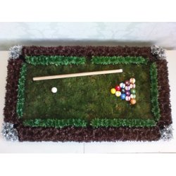 Oasis design plade 61x122 cm.