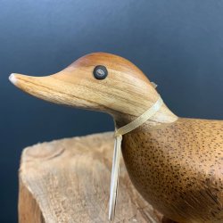 Dcuk - Tr And 11cm - Natur - Kigger Ligeud