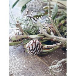 Magasin - Magisk Jul - Magasin Srudgave - Dansk
