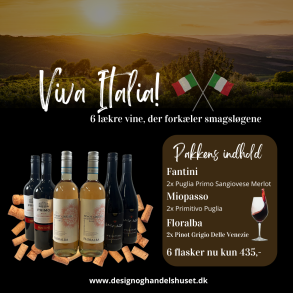 Den Italienske Vinpakke - En Gaveid til Vinelskeren