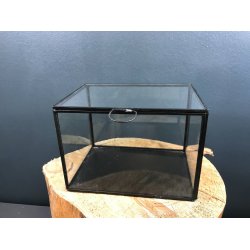 Glas boks - ske af glas