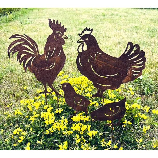 Hane, h�ne og kyllinger � Cortenst�l