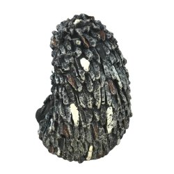 Havefigur - Pindsvin med blomst