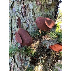 Havefigurer � Fugle i cortenst�l � S�t 2 stk.