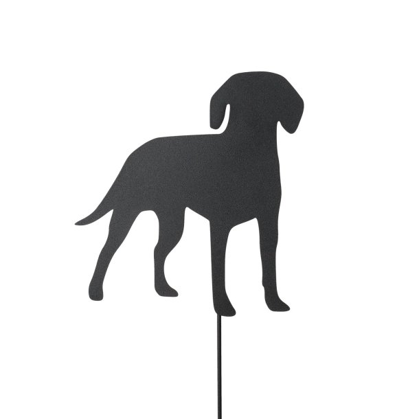 Havespyd - Hund