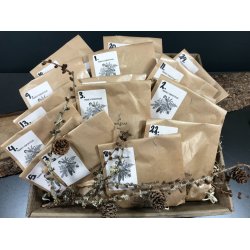 Julekalender - Rom julekalender