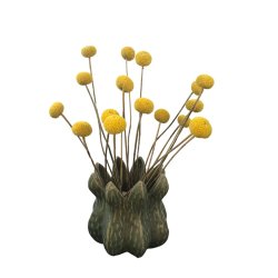 Keramikvase - Moderne vase - Gr grn