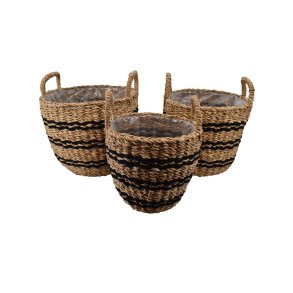 Kurvest - Sgrskurve st med 3 stk.