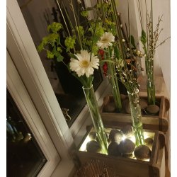 Lyskde med metalkugler