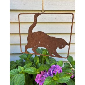 Ophng - Haveophng kat - Kat i cortenstl