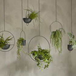 Ophng med planteskl - Diameter 20 cm.