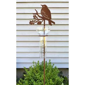 Regnm�ler � Fugle p� gren i cortenst�l