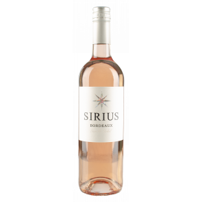 Rose - SIRIUS, 2018 - Bordeaux Ros - 6 stk.