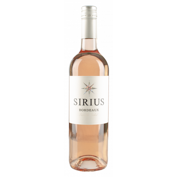 Rose - SIRIUS, 2018 - Bordeaux Ros - 6 stk.