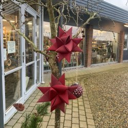 Stjernefabrikken - Sejldug Julestjerne - D�rs�t - Bordeaux