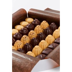 Summerbird  WINTER COLLECTION