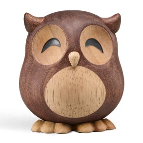 Symbolsk gave til student