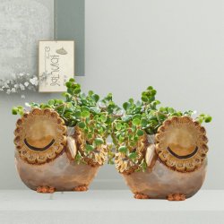 Urtepotte � Ugle urtepotter � S�t 2 stk.