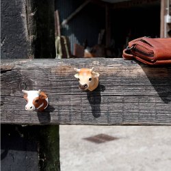 The Zoo Collection - Knage St - Ko