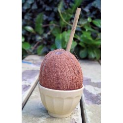 Zuperzozial - Genanvendelige Bambussugerr - Inklusiv Rengringsbrste